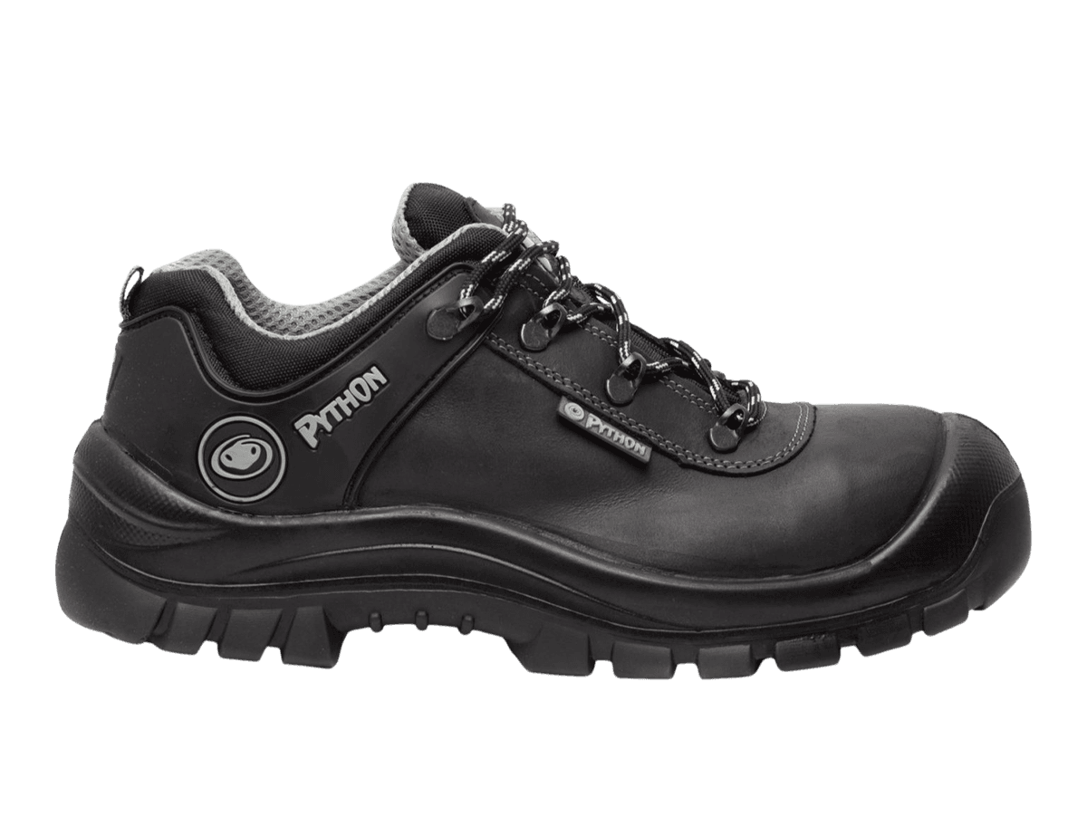 rechter aanzicht Python Toronto